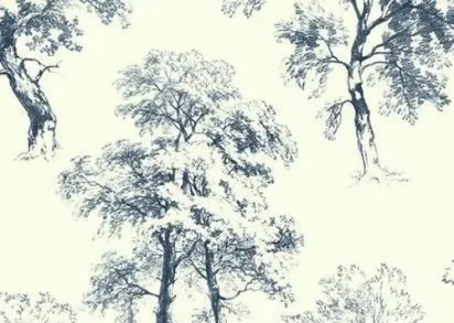 Обои Ashford House Ashford Toiles AF1926