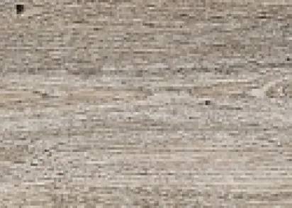 WONDERFUL NATURAL RELIEF DE2161 Дуб античный