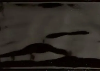 Плитка Mayolica Negro 7,5x30