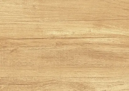 Плитка WT9OAS31 Paradise Wood 250*500*9