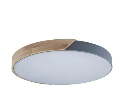 Потолочный светодиодный светильник Loft IT Axel 10004/36 grey