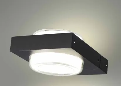 Уличный настенный светодиодный светильник Odeon Light Nature Vart 6654/6WL
