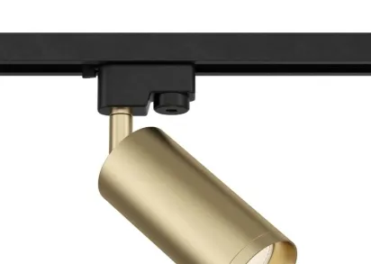 Трековый светильник Maytoni Track TR004-1-GU10-MG