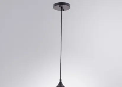 Подвесной светильник Arte Lamp Propus A4344SP-1BK