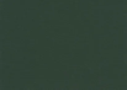 DLW Uni Walton LPX 101-035 racing green