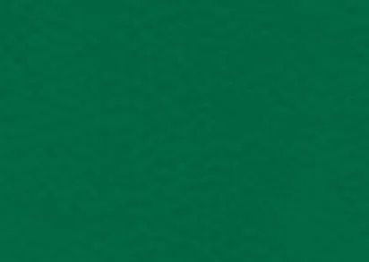 Gerflor Taraflex® Performance 655 Forest