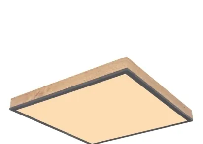 Потолочный светодиодный светильник Globo Doro 416080WD2