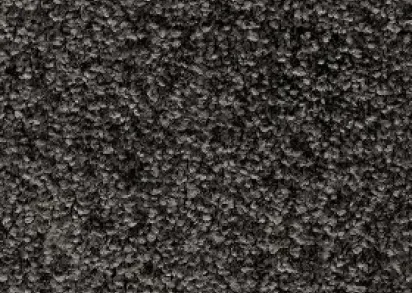 INVICTUS Priscus Priscus 99