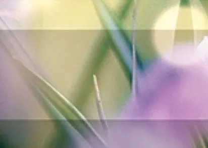 Плитка Бордюр рельефный Crocus br1020D286-1 20х10