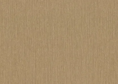 Обои Rasch Metal Spirit 977301