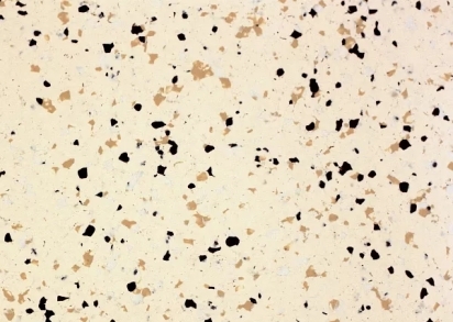 DLV Flooring Pure Space Conductive Pure Space Conductive 816 Butter (2x20)