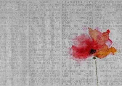 Обои WALL&DECO Contemporary Wallpaper 2016 WDVO1602B