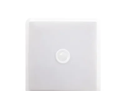 Настенно-потолочный светильник IN HOME 4690612022109