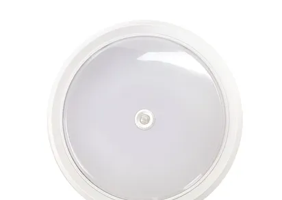 Настенно-потолочный светильник IN HOME 4690612020716