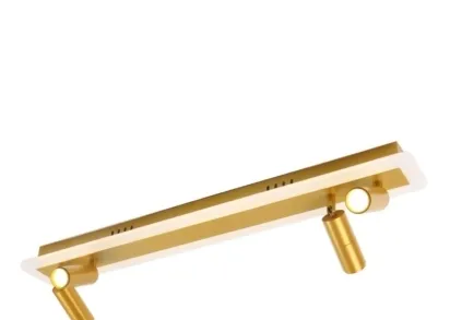 Светодиодный спот Arte Lamp Tommy A2607PL-30GO