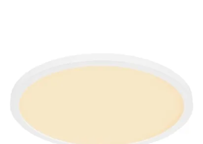 Потолочный светодиодный светильник Globo Sapana 41562-24W