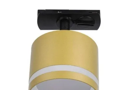 Трековый светильник Lucia Tucci Paganini LTP-T001-01GX53-G