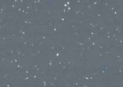Gerflor Taralay Premium Comfort 4004 Pago ()