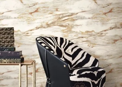 Обои Roberto Cavalli Home 9 RC21029