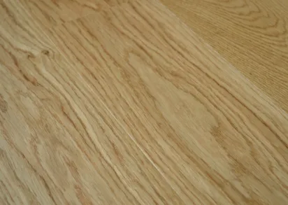 Greenline PLANK 5 esperanto