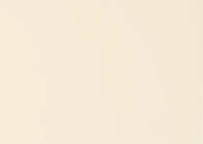 Плитка ADST1002 LISO BAMBOO 14.8X14.8