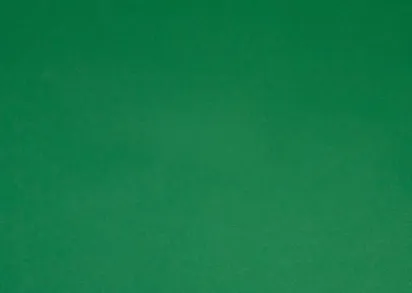 Forbo sportline classic 05030