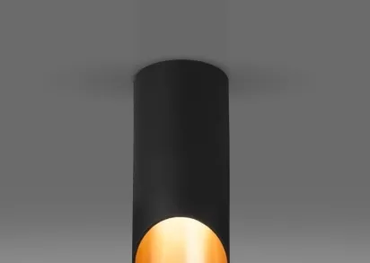 Потолочный светильник Elektrostandard DLN114 GU10 черный/золото a050120