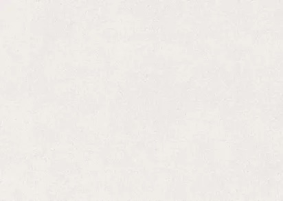 Керамогранит ENFBD3002GL80300 Granite White Glossy 800х3000х15