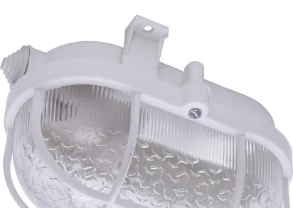 Настенно-потолочный светильник Feron НБП 01-60-002 41404