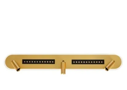 Светодиодный спот Arte Lamp Pisces A2220PL-3GO