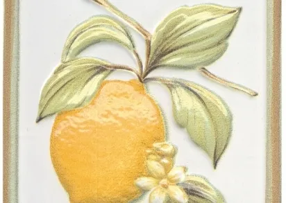 Плитка TLA003 Декор Капри Лимончики 9.9х9.9