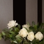 https://volgograd.don-oboi.ru/cache/goods_photos/88x88x1x7dtfamxao7.jpg
