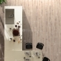 https://volgograd.don-oboi.ru/cache/goods_photos/88x88x1xaaykso57d8.JPG