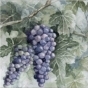 https://volgograd.don-oboi.ru/cache/goods_photos/88x88x1xbea5gsdajm.jpg