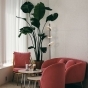 https://volgograd.don-oboi.ru/cache/goods_photos/88x88x1xpcitiu0jxx.jpg